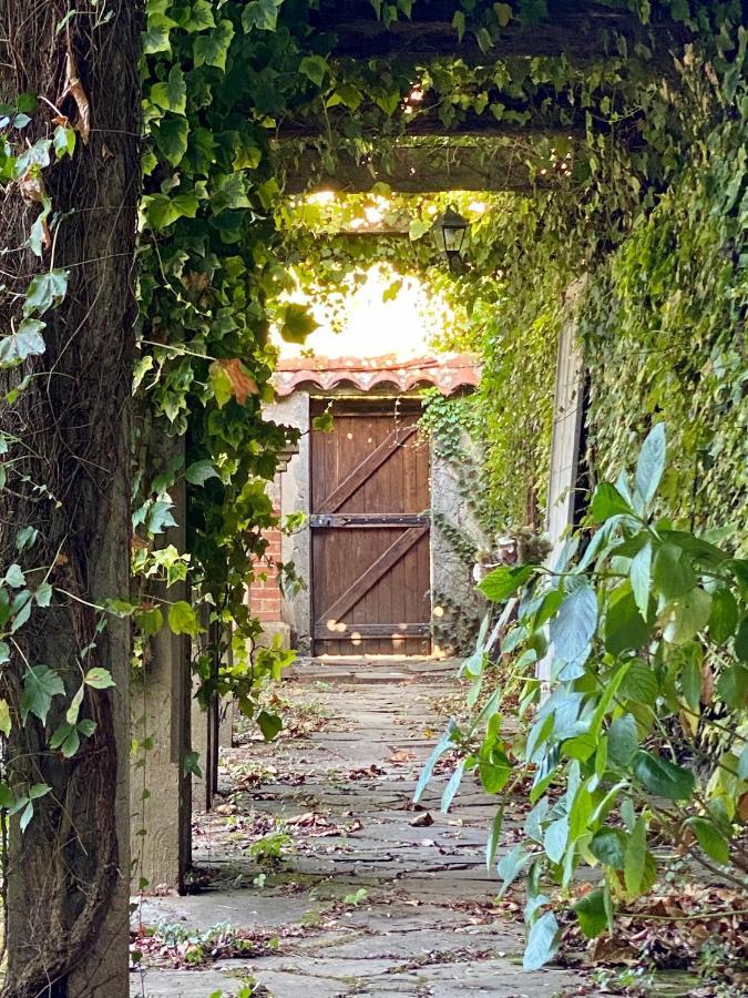 Le Rez De Jardin Albi Otel Dış mekan fotoğraf