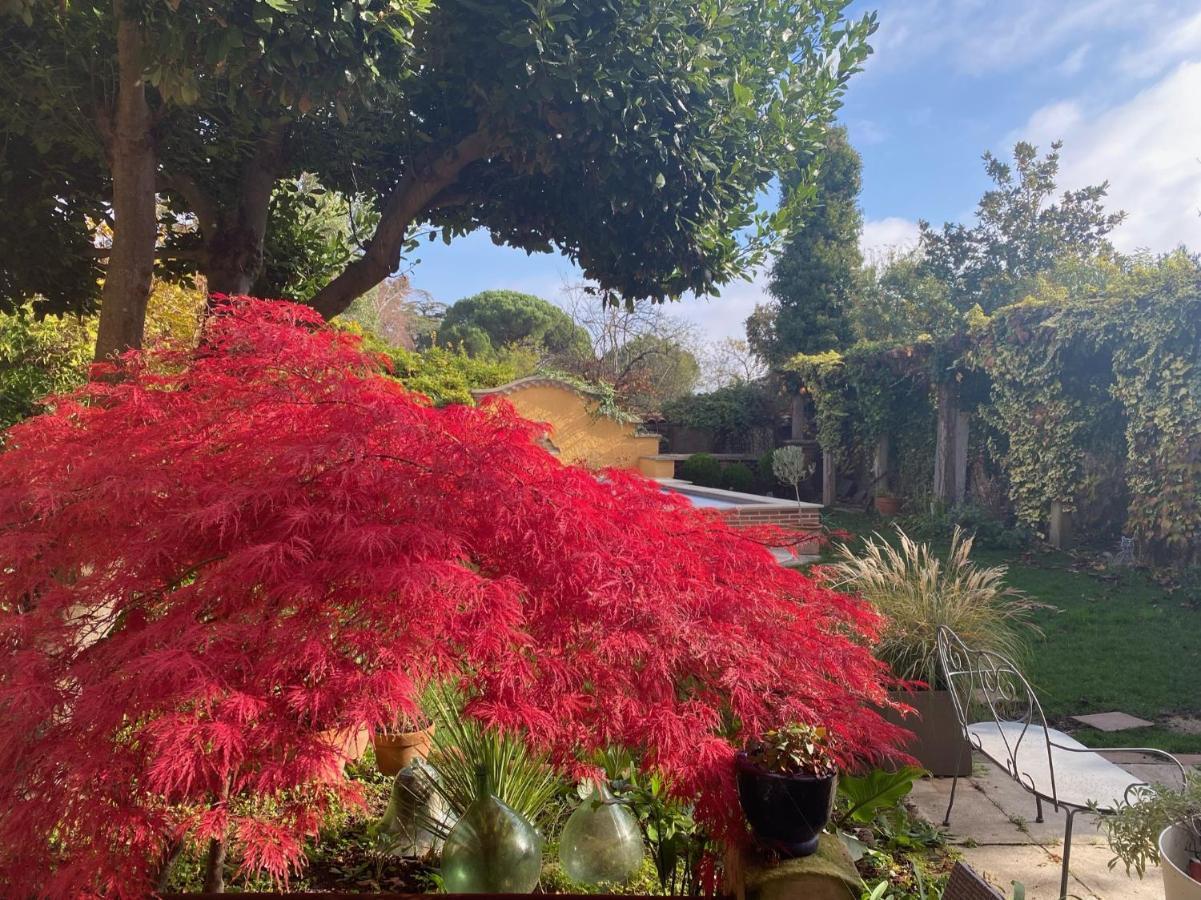 Le Rez De Jardin Albi Otel Dış mekan fotoğraf